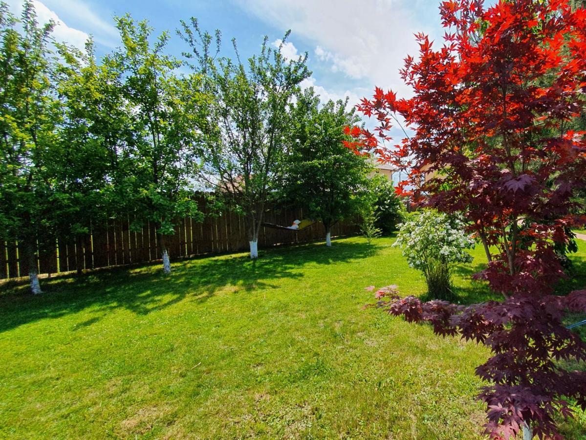 Jasmine Residence Prejmer Екстериор снимка